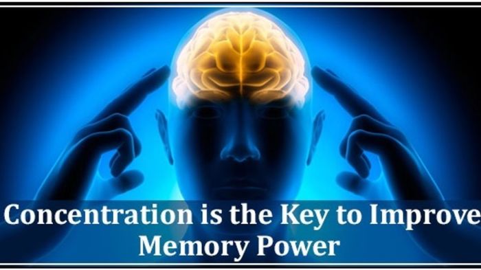 How to Meditate for Better Memory and Concentration